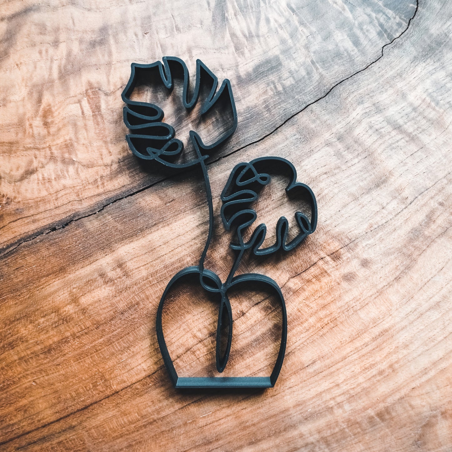 Monstera Vase